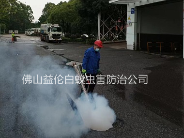 順德區街道殺蟑螂蚊蠅