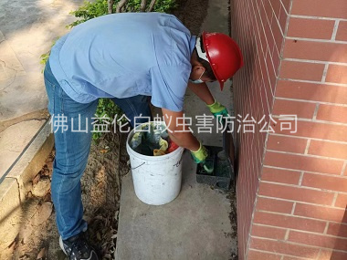 禪城企業外圍施藥滅鼠