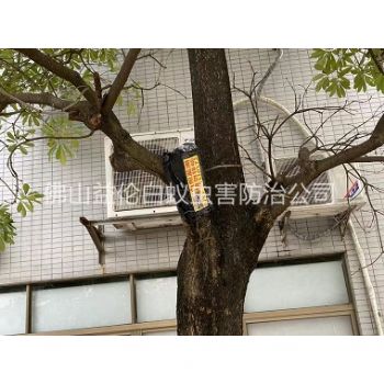 順德龍江園林白蟻防治