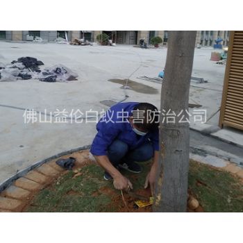 佛山裝置白蟻誘殺箱