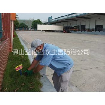 南海企業殺除紅火蟻
