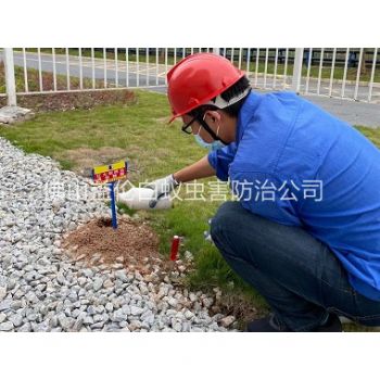 三水園區治紅火蟻