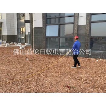 南海沙頭房屋白蟻預防