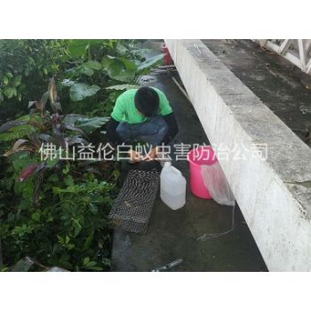禪城蟲害所進行捕蛇