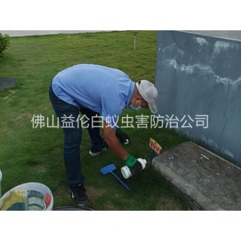禪城區(qū)紅火蟻消殺工程