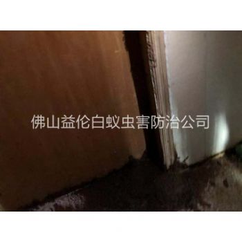順德倉(cāng)庫(kù)蟻害防治