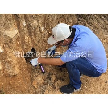 佛山水庫堤壩滅白蟻