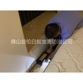 佛山家居滅治白蟻