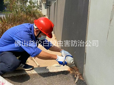南海紅火蟻防治工程
