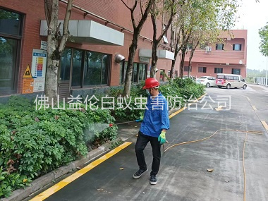 高明環境蚊蠅防控工程