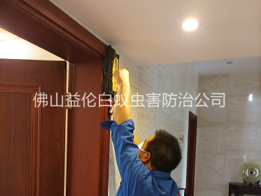 佛山房屋滅治白蟻工程