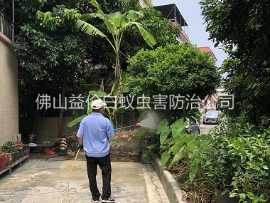 高明社區(qū)除四害工程