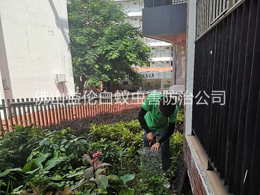 佛山專業(yè)抓蛇捕蛇工程