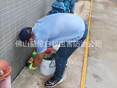南海廠區(qū)施藥滅鼠工程