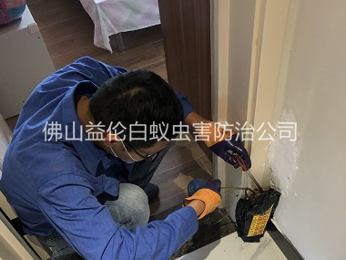 高明住宅白蟻防治工程