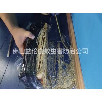 禪城體育館滅治白蟻工程