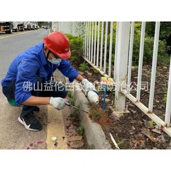 順德紅火蟻防治工程